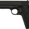 M1911-A1- 10MM FS GI RIA