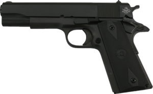 M1911-A1- 10MM FS GI RIA